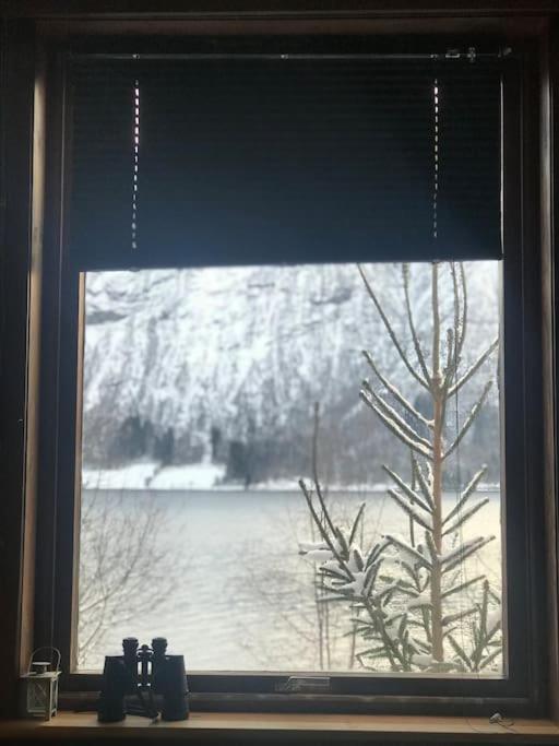 Apartment With Lake View In Jolster Årdal Buitenkant foto