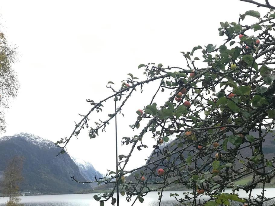Apartment With Lake View In Jolster Årdal Buitenkant foto